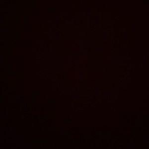 Meet your Posher, Devin